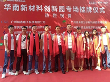 公司技术、业务、管理团队与精英层